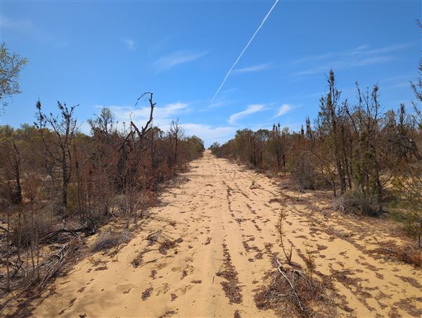 Coorow Farm (1/01/2025 - Credits: Chris Pryor, Tracy Izzard and Leonie Hull)