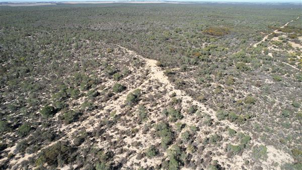 Coorow Farm (1/01/2025 - Credits: Chris Pryor, Tracy Izzard and Leonie Hull)