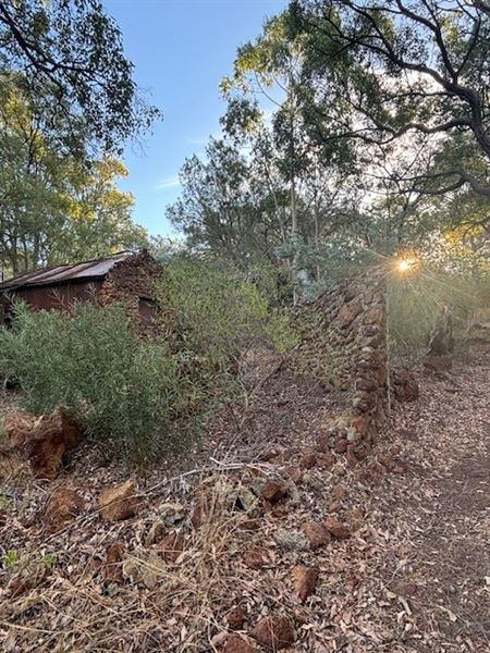 102 Chevin Rd (1/01/2025 - Credits: Real estate.com for Weblink 1, Shay Stillman for air bnb photos and wildflowers on property.)