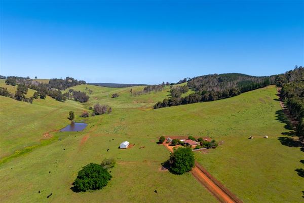 Balingup (10/12/2025)