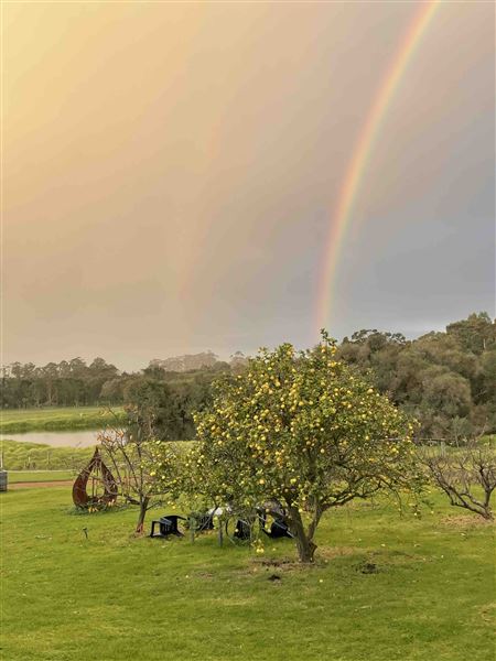 Duke's Vineyard (6/01/2026 - Credits: Sarah Date)
