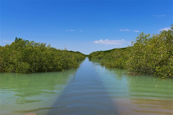 Broome - Town (10/02/2026 - Credits: Garry Norris Photography)