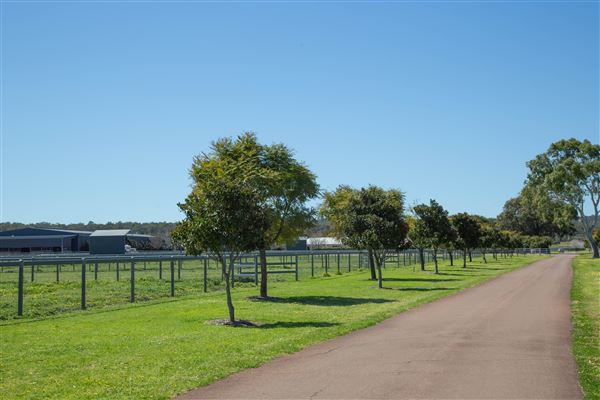Gold Front Breeding & Racing (11/03/2026 - Credits: Louise Brady)