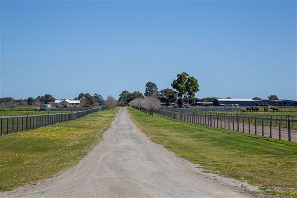 Gold Front Breeding & Racing (11/03/2026 - Credits: Louise Brady)
