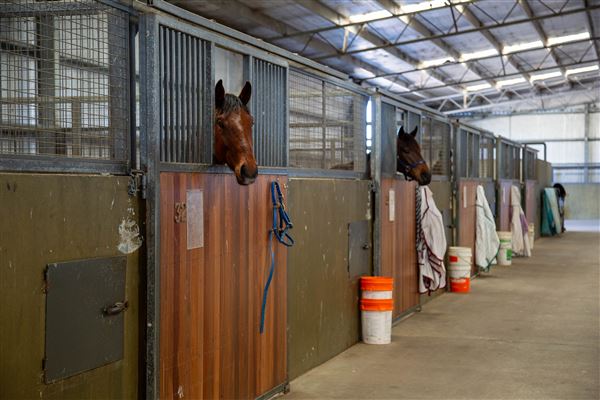 Gold Front Breeding & Racing (11/03/2026 - Credits: Louise Brady)