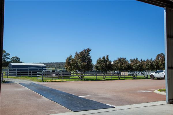 Gold Front Breeding & Racing (11/03/2026 - Credits: Louise Brady)