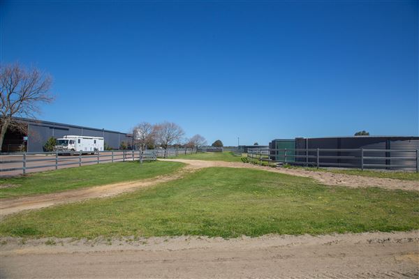 Gold Front Breeding & Racing (11/03/2026 - Credits: Louise Brady)