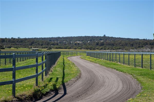 Gold Front Breeding & Racing (11/03/2026 - Credits: Louise Brady)