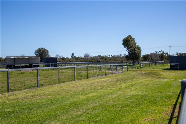 Gold Front Breeding & Racing (11/03/2026 - Credits: Louie Brady)