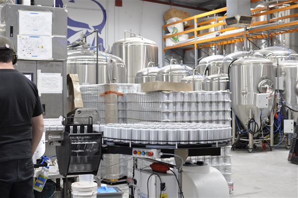 Limestone Coast Brewery (22/05/2026 - Credits: Limestone Coast Brewery)