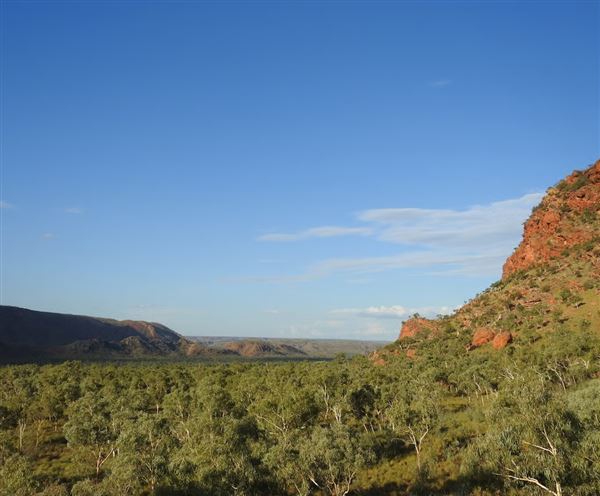 Bungle Bungles Range - Purnululu National Park (17/07/2026 - Credits: DBCA)