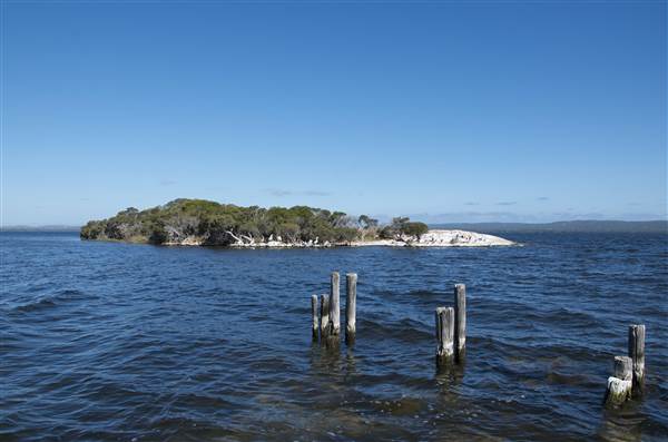 Wilson Inlet (inc.Boat Landing), Denmark (12/03/2015)