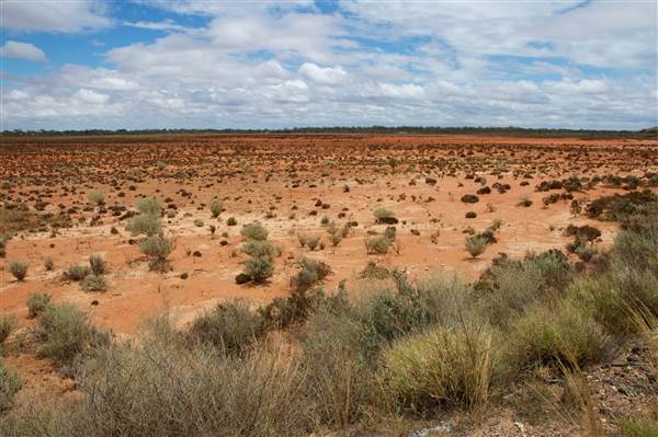 Arrow Lake - Kanowna - Goldfields (18/03/2015)