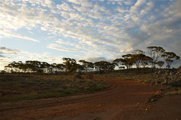 Coolgardie Outskirts (19/03/2015 - Credits: Tim Burns)