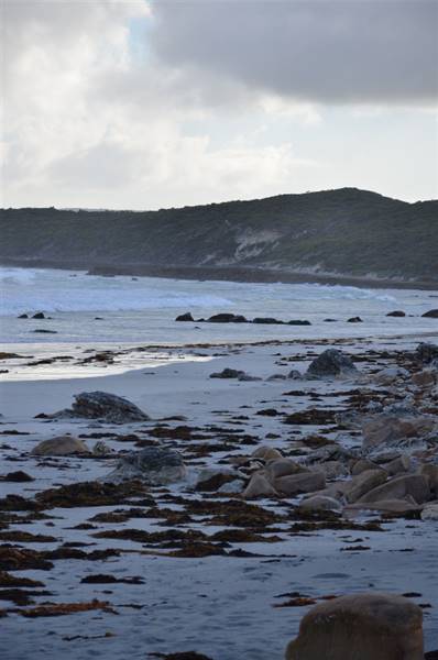Foul Bay (20/03/2015)