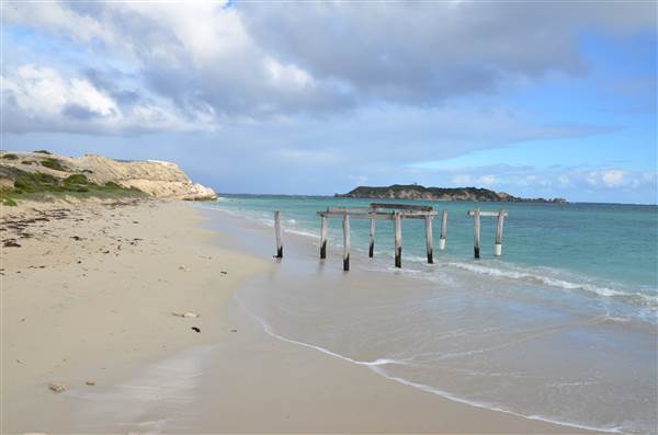 Hamelin Bay (23/03/2015)