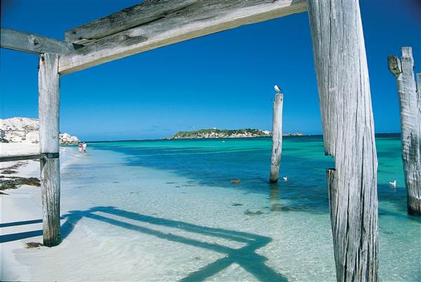 Hamelin Bay (23/03/2015)