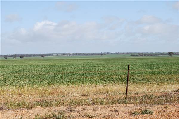 Merredin (23/03/2015)