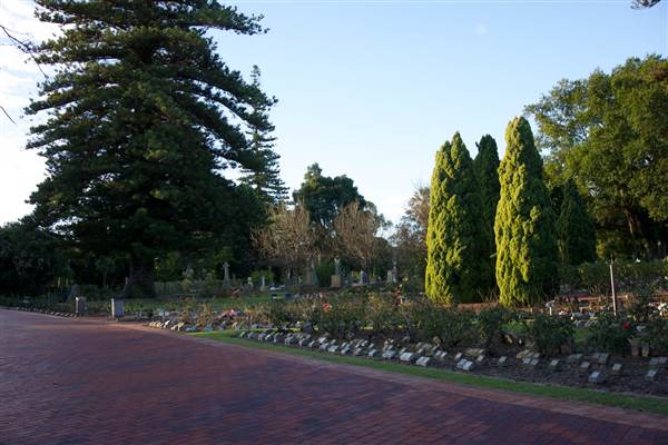 Karrakatta Cemetery (24/03/2015)