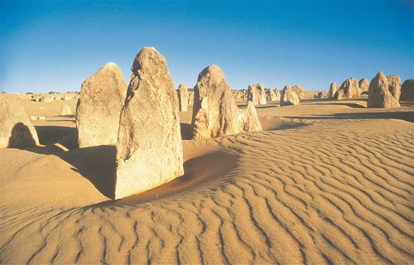 Pinnacles - Nambung National Park (25/03/2015)