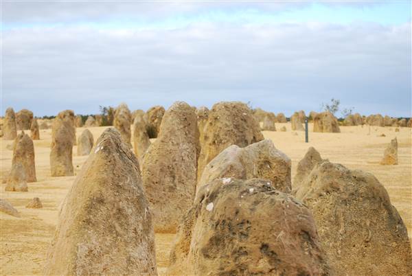 Pinnacles - Nambung National Park (25/03/2015)