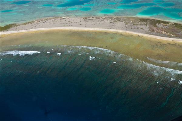 Abrolhos Islands - Pelsaert Island (15/12/2015)