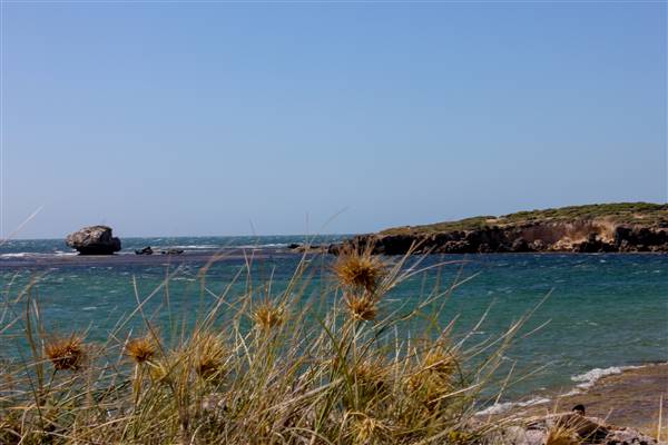 Cape Peron - Rockingham - from land (21/12/2015 - Credits: Chris Veerhuis)