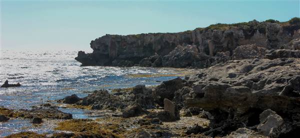 Cape Peron - Rockingham - from land (21/12/2015 - Credits: Chris Veerhuis)