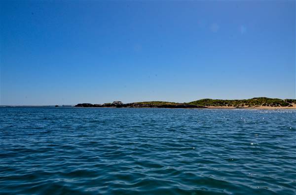 Cape Peron - Rockingham - from water (21/12/2015 - Credits: Chris Veerhuis)