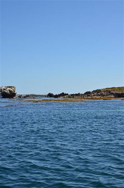 Cape Peron - Rockingham - from water (21/12/2015 - Credits: Chris Veerhuis)