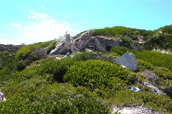 Garden Island - Gilbert Point - from land (22/12/2015 - Credits: Chris Veerhuis)