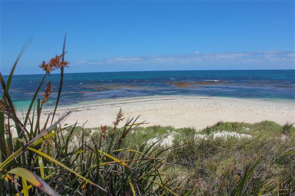 Garden Island - Gilbert Point - from land (22/12/2015 - Credits: Chris Veerhuis)