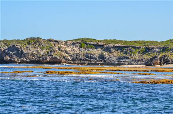 Garden Island - Collins Point - from water (22/12/2015 - Credits: Chris Veerhuis)