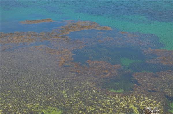 Garden Island - Point Atwick - Cray Bay (22/12/2015 - Credits: Chris Veerhuis)