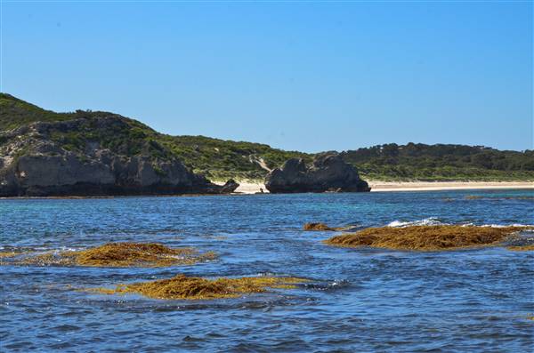 Garden Island - Calista Point - from water (22/12/2015 - Credits: Chris Veerhuis)