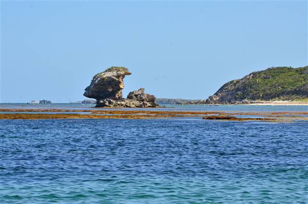 Garden Island - Calista Point - from water (22/12/2015 - Credits: Chris Veerhuis)