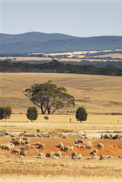Ravensthorpe (24/06/2016 - Credits: Tourism WA)