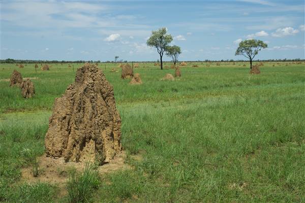 Derby - Landscapes - Near Wilare (14/07/2016 - Credits: Tim Burns)