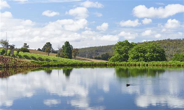 Millbrook Winery (5/09/2016)