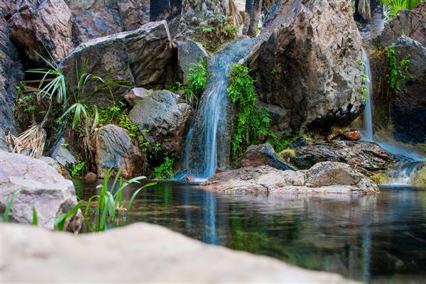 El Questro - Zebedee Springs (7/09/2016 - Credits: Dan Wood)