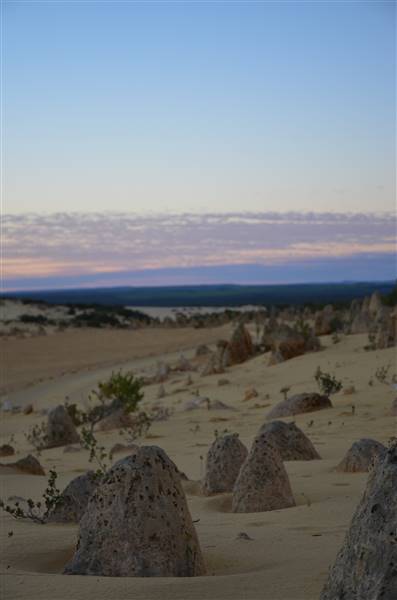 Pinnacles - Nambung National Park (27/06/2016 - Credits: Chris Veerhuis)