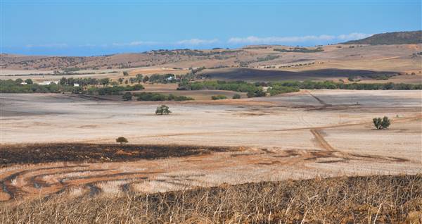Chapman Valley - Glengarry Station (3/05/2017 - Credits: Chris Veerhuis)