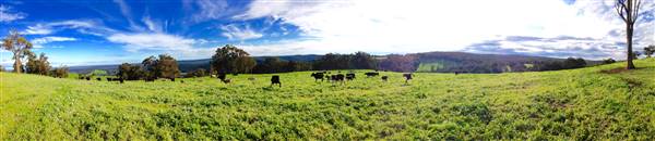Nannup - Xmas Brook Farm (3/05/2017 - Credits: Kerrie Dunnet)