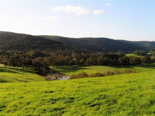 Nannup - Xmas Brook Farm (3/05/2017 - Credits: Kerrie Dunnet)