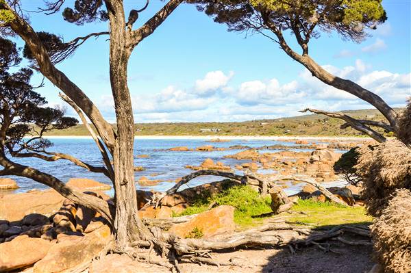 Bunker Bay (6/06/2017 - Credits: Duncan Jones)