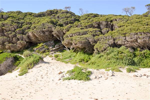 Injidup Beach & Cape Clairault (7/06/2017 - Credits: Duncan Jones)