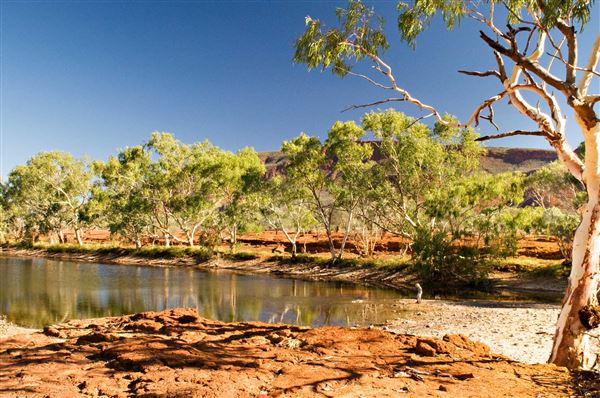 Mt Augustus (15/11/2017 - Credits: Cattle Pool - Courtesy of Gascoyne Junction Community Resource Centre)
