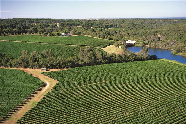 Swan Valley - Sittella Winery (14/02/2018 - Credits: Tourism WA)