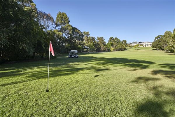 Sandalwood Estate (1/02/2019)