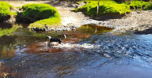 Little Hill Farm Bridgetown (28/03/2018 - Credits: Little Hill Farm Bridgetown (Pics take in March 2018 Summer))